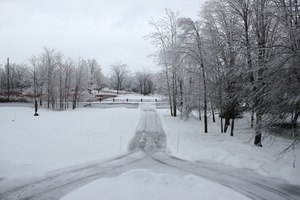 Winter Driveway