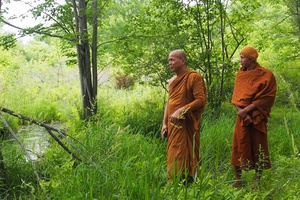 Luang Por Jundee (L) and Ajahn Sek (R) take a look on of Tisarana's marshes
