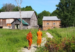 Ajahn Sek (L) and Luang Por Viradhammo walk