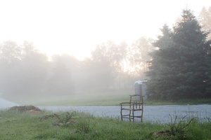 A bench in the morning mist