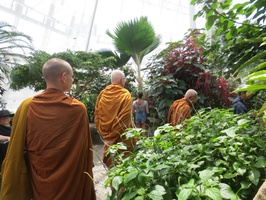 Ajahn Thaniyo, Luang Por Viradhammo, and Luang Por Liem at the Butterfly Gardens