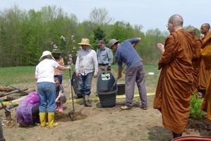 Monastics chant blessings during the tree planting ceremony for Luang Por Viradhammo's Mother