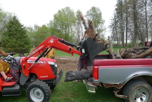 Samanera Khema lightens the load for the wood pile clearing team