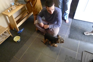 Searouse takes a look at an exteremely cute dog, which came to the working bee