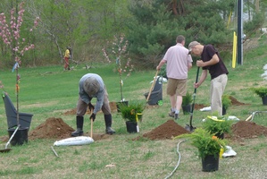 Monastery friends plant trees at the working bee