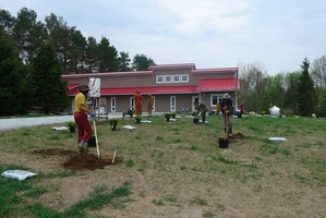 Another view of tree planting during the working bee