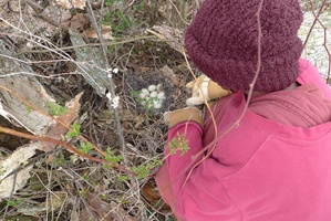 Ven. Muditavihari looks at a duck's nest, which was discovered during some brush clearing