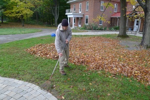There are plenty of leaves to be raked