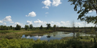 The monastery marsh