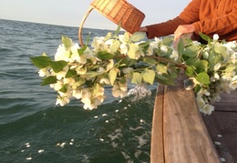 Flower petals on the sea