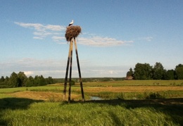 There are lots of storks that the locals feel are good luck and so these tripods are built to welcome the nesting storks.
