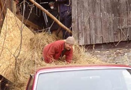 Ajahn Kusalo -- waist deep in hay