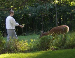 Cathy feeds a deer