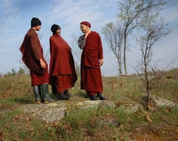 Bhikkhus from a new monastery outside of Toronto stop by Tisarana for a visit