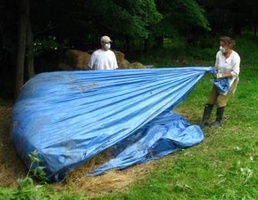 A guest gives a full tarp a pull