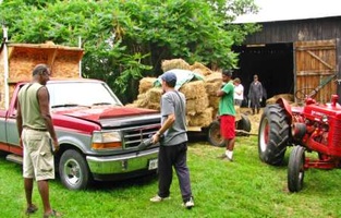 The truck and the tractor both helped to carry the hay