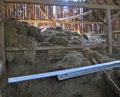 The barn was full of hay.  Good for cattle, but not so good for floor boards - especially after a half a century
