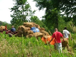 One of the last hay runs
