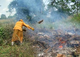 Ajahn Viradhammo gets to work on the burn pile