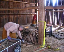 Samanera Sumangalo loads some of the rotten barn floor boards into a cart