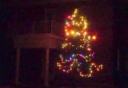 We had a nice Christmas tree put up