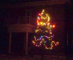 We had a nice Christmas tree put up