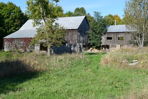 A view of the old barns