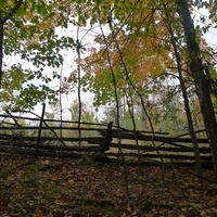 One of the old fences from back when the property was a farm