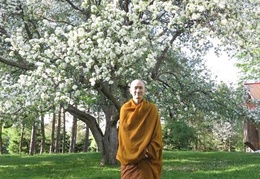 Tan Ajahn Dtun in front of the monastery's apple tree