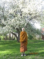Tan Ajahn Dtun in front of the monastery's apple tree