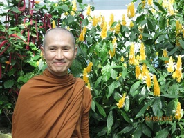 Tan Ajahn Dtun at the butterfly gardens