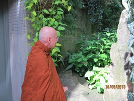 Luang Por Viradhammo takes a look