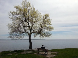 A view of lake Ontario near Kingston