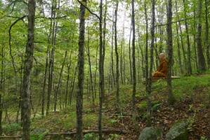 Monk meditating in forest
