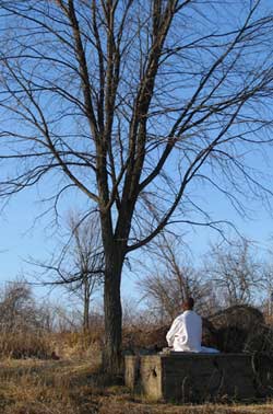 Anagarika Atulo does some meditation under a tree